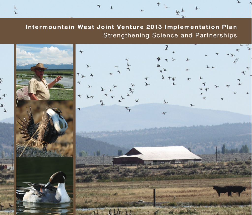 Cover of the 2013 IWJV Implementation Plan